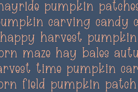 Harvest Hayride - A Fall Handwritten Serif Font Font Designing Digitals 