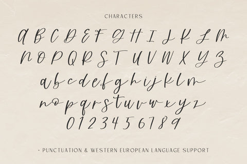 Harvester Script Font Beck McCormick 