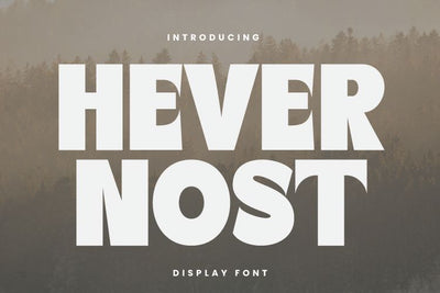 Havernost Display Font Font Irvan Randi 