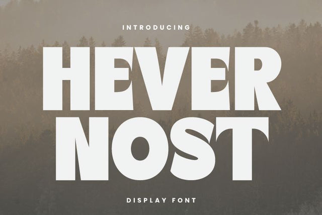 Havernost Display Font Font Irvan Randi 