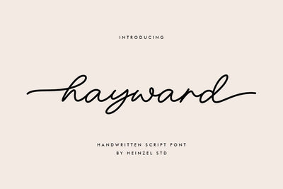 Hayward Handwritten Font With Tails Font Heinzel Studio 