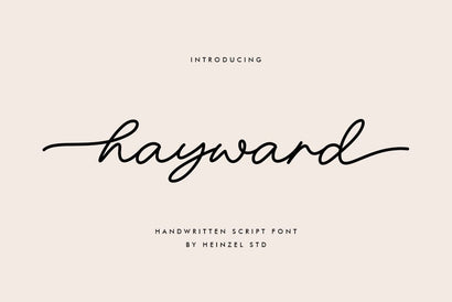 Hayward Handwritten Font With Tails Font Heinzel Studio 