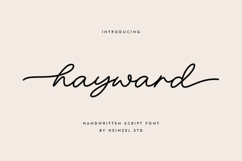 Hayward Handwritten Font With Tails Font Heinzel Studio 