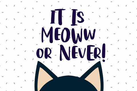 Hello Catto Font Dm Letter Studio 