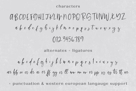 Hello Dear Script Font Beck McCormick 