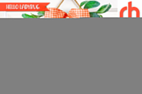 Hello Ladybug SVG, Layered Door Sign DXF, Daisy Cut File SVG RedHelgaArt 