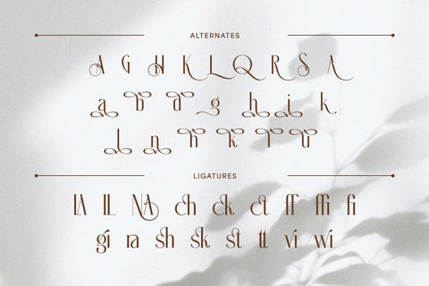 Helona: A New Modern Ligature Serif Font studioalmeera 