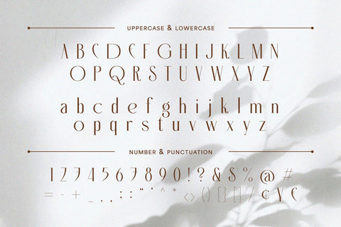 Helona: A New Modern Ligature Serif Font studioalmeera 