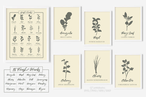 Herb Svg Bundle, Fresh Herbs Svg, Herbs Svg, Kitchen Svg, Farmhouse Svg SVG Artinrhythm shop 