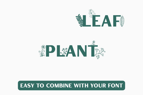 Herlora Floral Dingbat Font Dm Letter Studio 