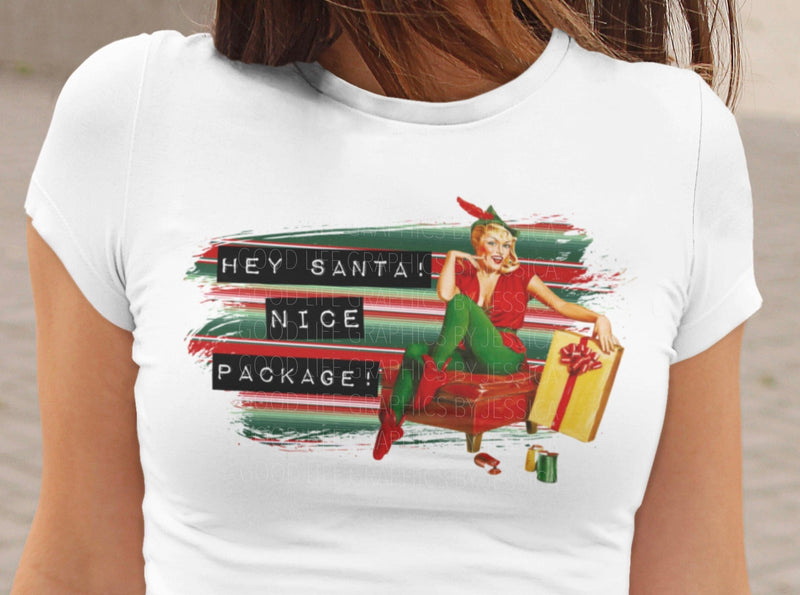 Hey Santa Nice Package | Pin-Up Christmas Humor PNG | Vintage Holiday NSFW Design Sublimation Crafting After Dark 