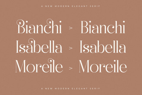 Heyanik – New Modern Elegant Serif Font Storytype Studio 