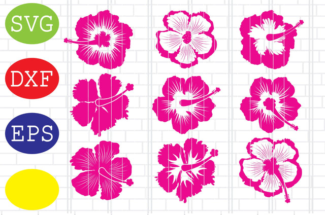 Hibiscus Flower Svg, Jpg, Eps, Dxf Files SVG DigitalSvgFiles 