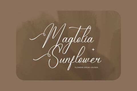 Hidasatie Bastirona - Modern Beauty Calligraphy Font Letterena Studios 