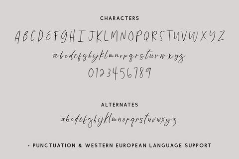High Street Script Font Beck McCormick 
