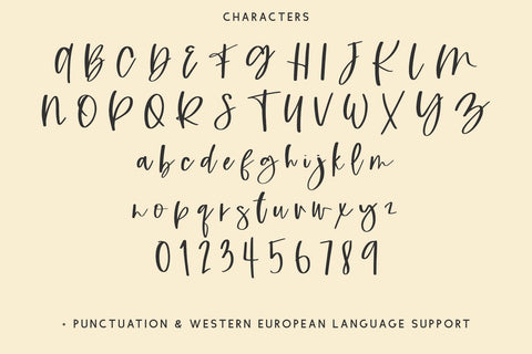 Highlight Script Font Beck McCormick 
