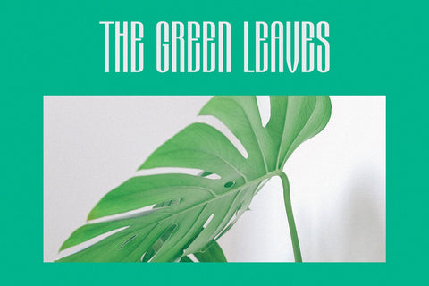 Highstar - Modern Condensed Sans Font studioalmeera 