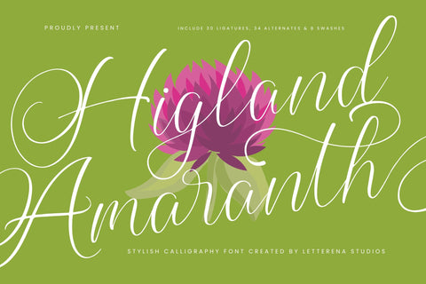 Higland Amaranth - Stylish Calligraphy Font Font Letterena Studios 