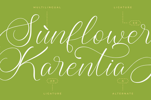 Higland Amaranth - Stylish Calligraphy Font Font Letterena Studios 