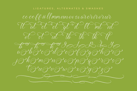 Higland Amaranth - Stylish Calligraphy Font Font Letterena Studios 