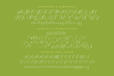 Higland Amaranth - Stylish Calligraphy Font Font Letterena Studios 