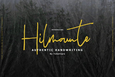 Hilmounte Signature Typeface Font Fadeline Std. 