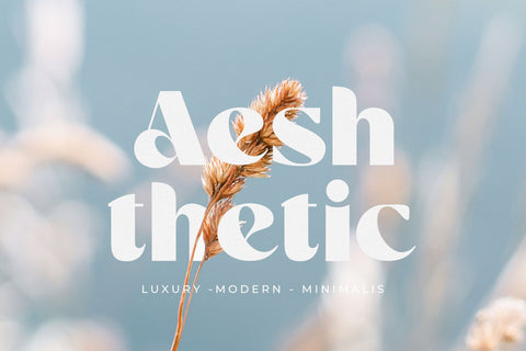 Hiluna Font Zeenesia Std 