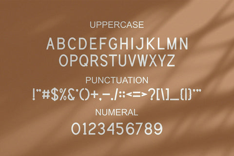 Himering - Minimalist & Modern Sans Serif Font studioalmeera 