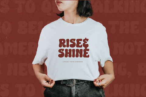 Histea Ballon - Display Vintage Serif Font Letterena Studios 