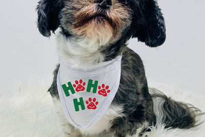 Ho ho ho svg.Dog bandana Christmas ho ho ho svg SVG BB Type Studios 
