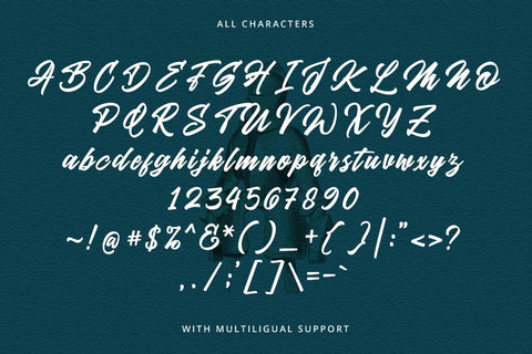 Hockie Script Typeface Font Fadeline Std. 