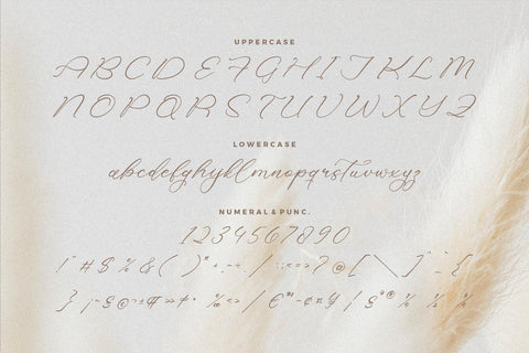 Holicakes Serfinah - Beauty Script Font Font Storytype Studio 