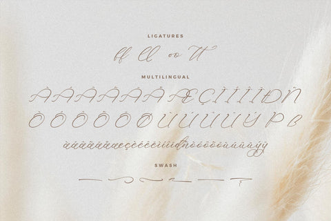 Holicakes Serfinah - Beauty Script Font Font Storytype Studio 