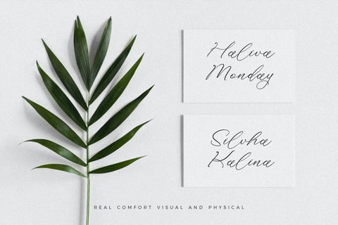 Holicakes Serfinah - Beauty Script Font Font Storytype Studio 