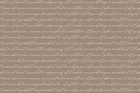 Holicakes Serfinah - Beauty Script Font Font Storytype Studio 