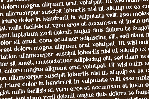 Homemade Modern Serif Font Font Blush Font Co. 