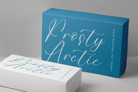 Homestay Winter - Freestyle Stylish Font Font Letterena Studios 