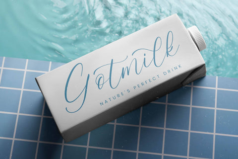 Homestay Winter - Freestyle Stylish Font Font Letterena Studios 