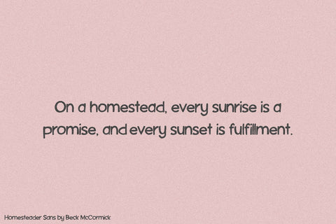 Homesteader Sans Font Beck McCormick 