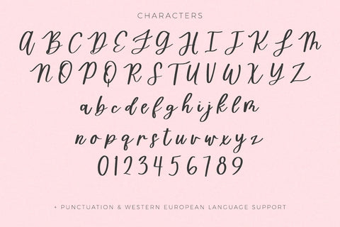 Homeward Script Font Beck McCormick 