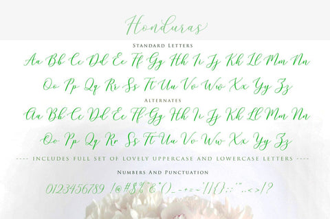 Honduras Script Font gatype 