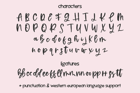 Honey Market Script Font Beck McCormick 