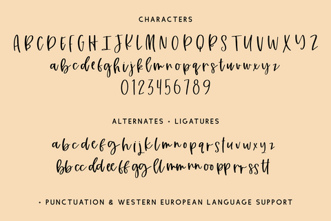 Honey Punch Script Font Beck McCormick 