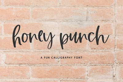 Honey Punch Script Font Beck McCormick 