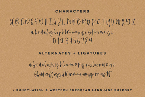Honeylight Script Font Beck McCormick 