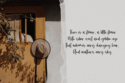 Honeylight Script Font Beck McCormick 