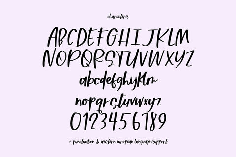 Honeymooner Script Font Beck McCormick 