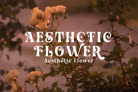 Honeypirls Font Typeface Font Fadeline Std. 