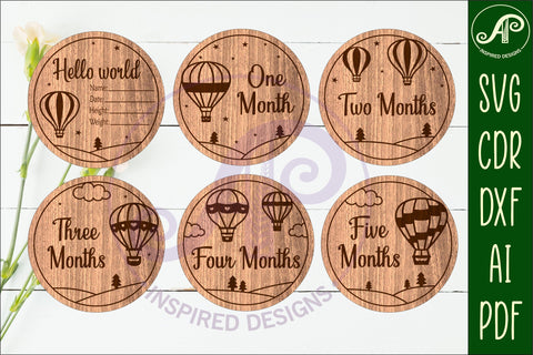Hot Air Balloon themed Baby monthly milestone discs SVG SVG APInspireddesigns 