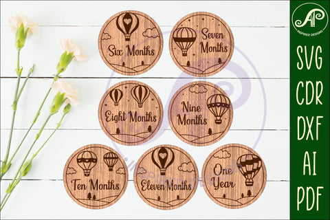 Hot Air Balloon themed Baby monthly milestone discs SVG SVG APInspireddesigns 